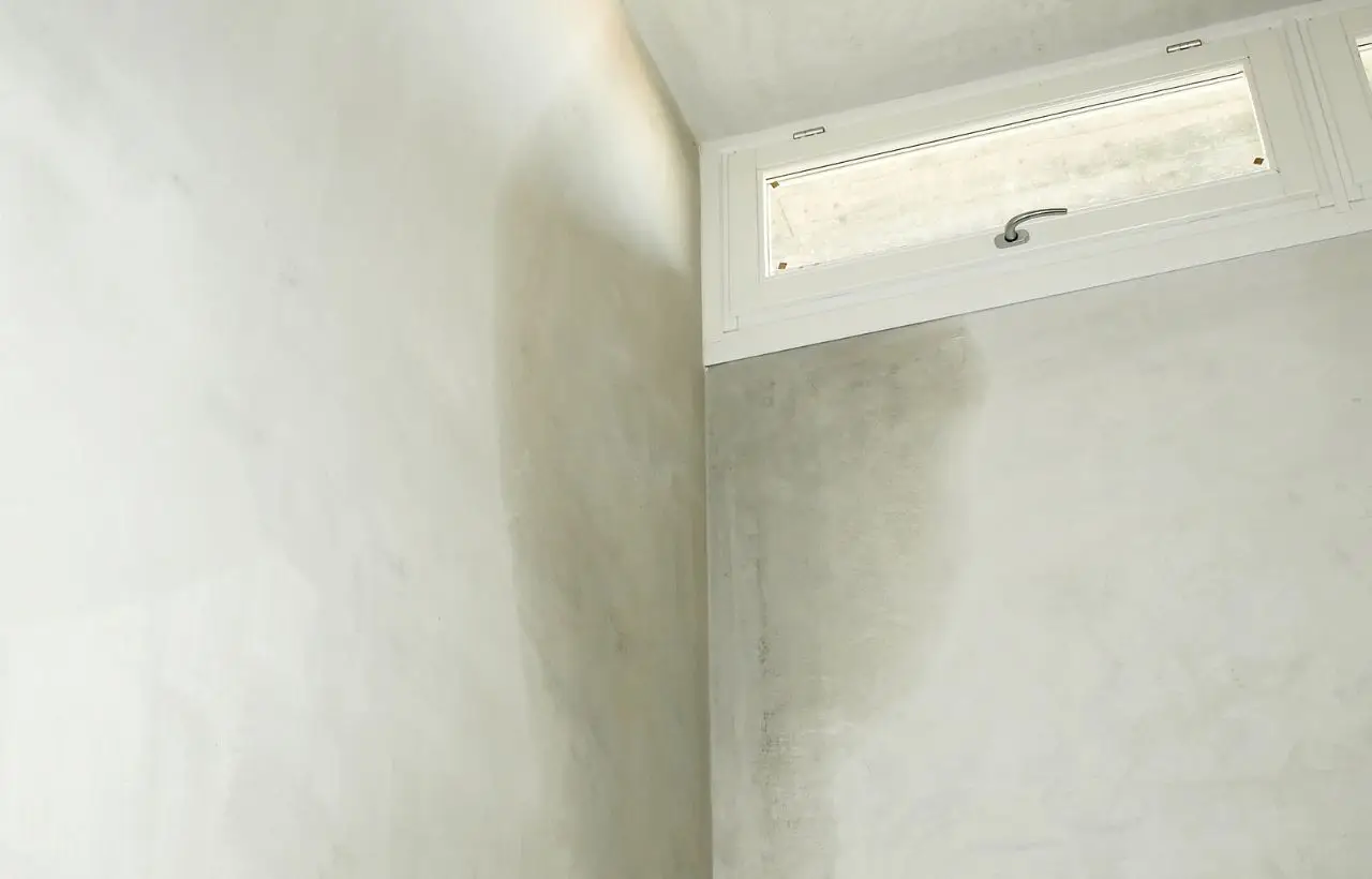 Hai l’umidità sbagliata in casa in inverno? Ecco i rischi per salute, muffa e bolletta