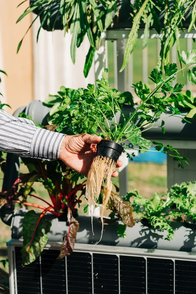 Piante con radici profonde: la soluzione naturale per terreni difficili e frane