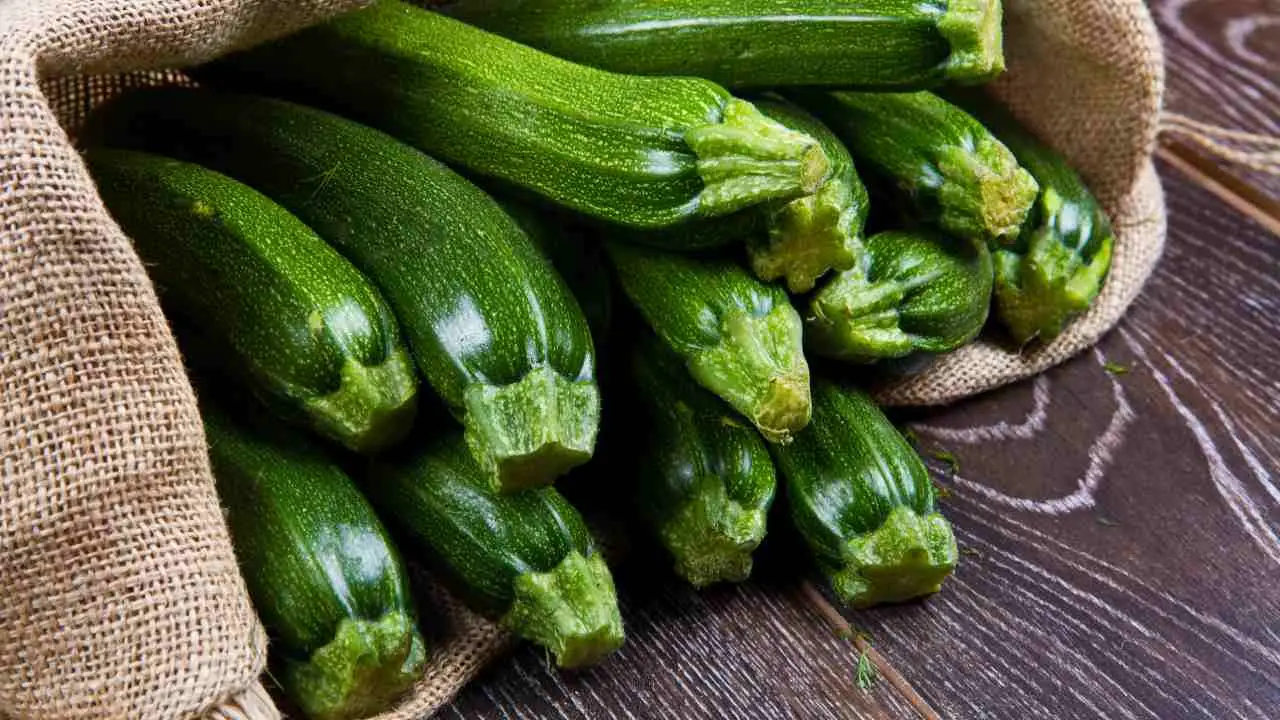 Hai sempre sbagliato a classificare le zucchine: ecco la verità sorprendente