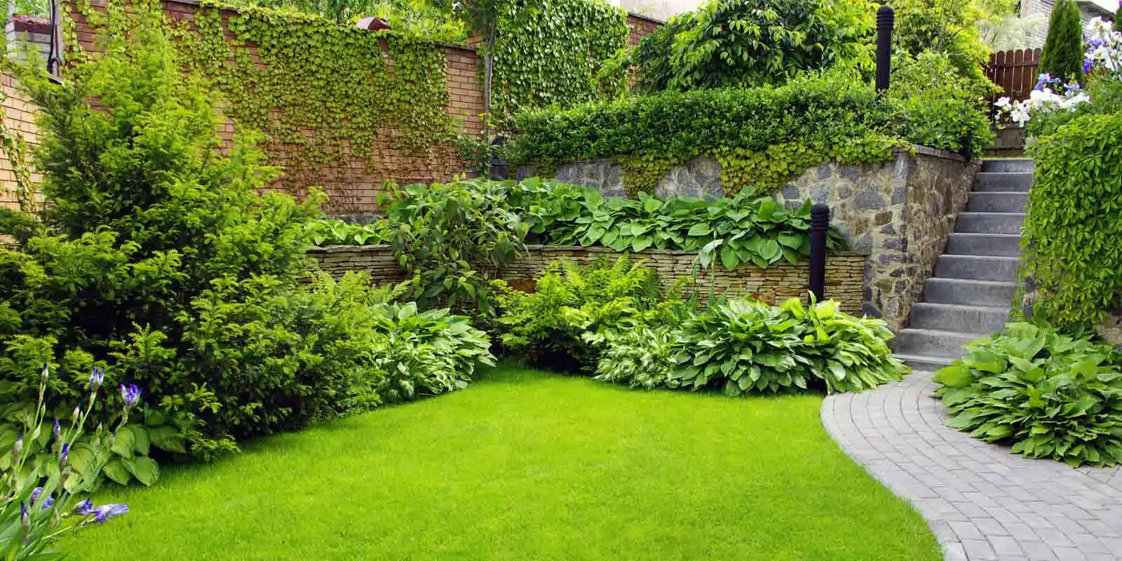 Chi progetta i giardini? Ecco la differenza tra giardiniere, progettista e architetto che non sai