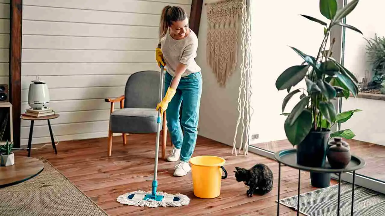 Come disinfettare casa con animali: il metodo sicuro per pulire senza rischi per loro