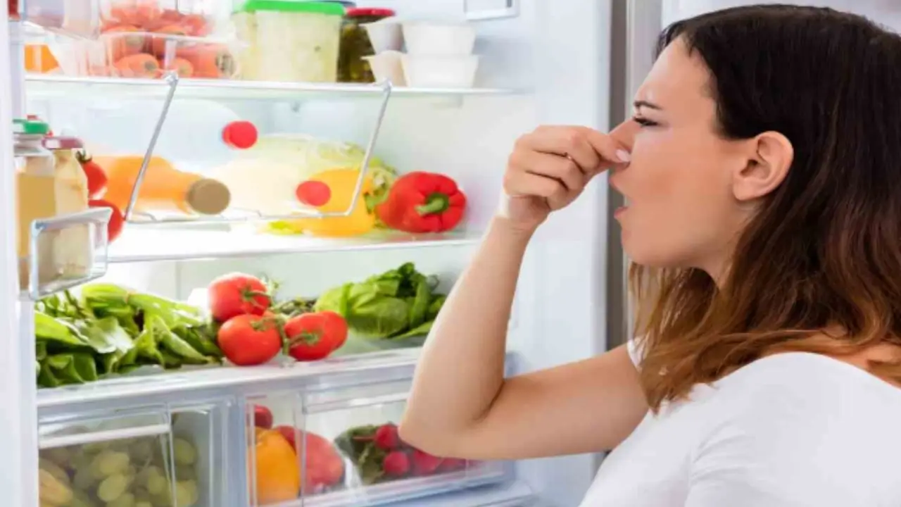 Come si pulisce il frigorifero e si eliminano i cattivi odori? Il prodotto naturale che disinfetta