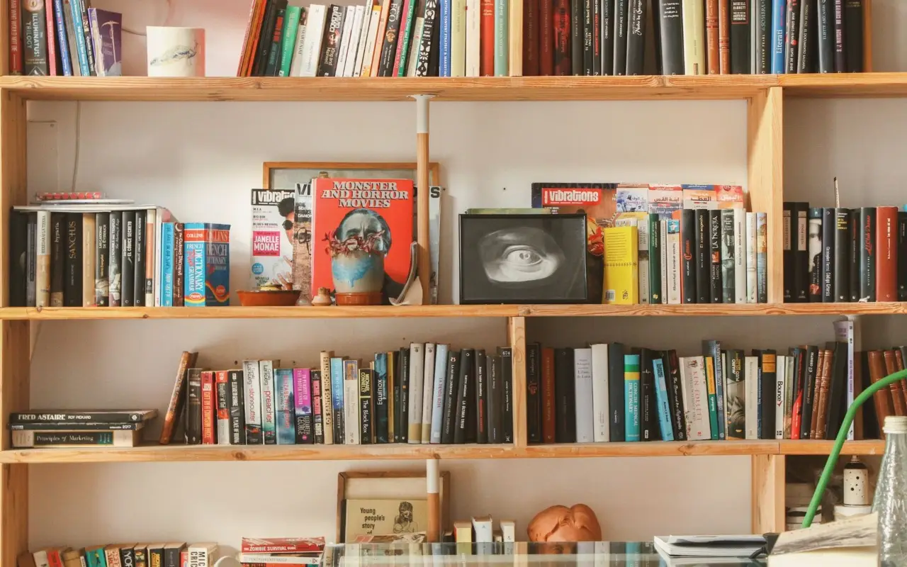 Come si fa a organizzare i libri in una libreria? I criteri per un effetto ordinato e di design