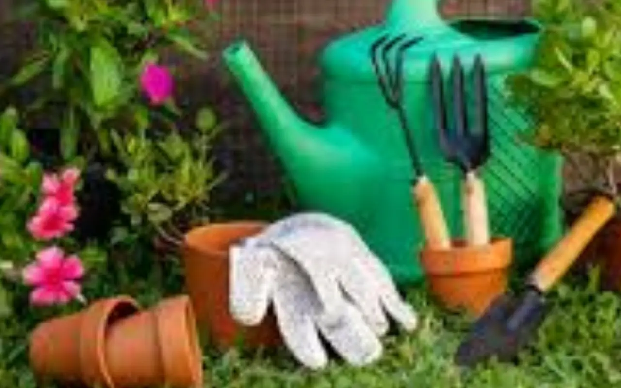 Quali sono gli attrezzi da giardino da pulire e conservare per l’inverno? La manutenzione che li fa durare